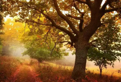 ​2024伤感抖音语句