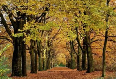 ​跨年励志语录