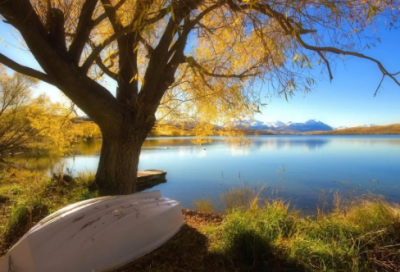 ​华胥引经典台词