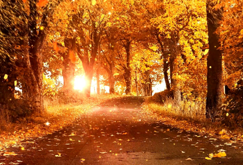 1711102032998557.png image.png