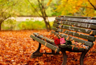 ​黑暗治愈语录