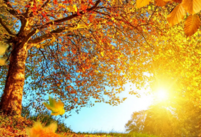 ​2024心语正能量