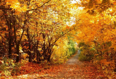 ​发朋友圈语录说说大全