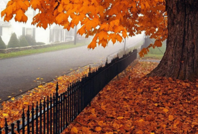 ​关于情人节的个性签名