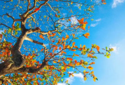 ​不一样的经典语录