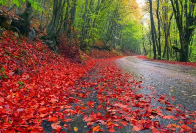 ​微信个性签名语录