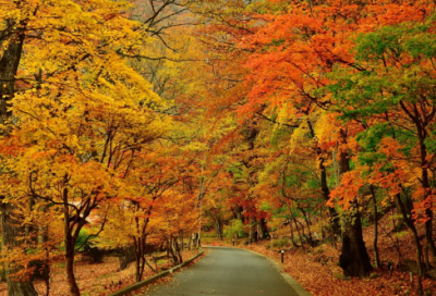 ​周星驰电影经典台词