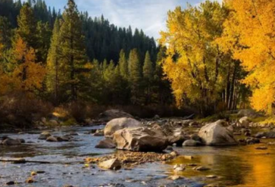 ​朋友圈说说点赞多的语录