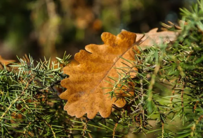 ​李丰：存量经济下，好人赚钱的18条法则