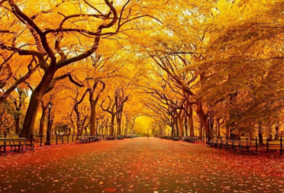 ​朋友圈心情说说语录