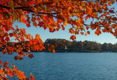 ​抖音语录的句子