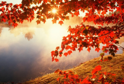 ​微信说说朋友圈经典语录