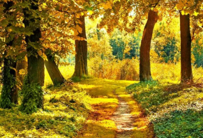 ​一句话致自己的心情