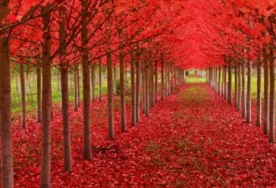 ​工作总结开头语