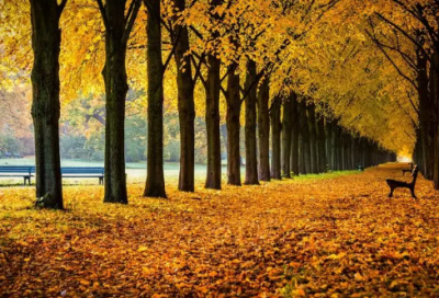 ​发朋友圈的精美句子经典语录