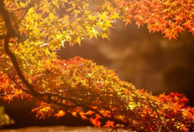 ​2024年励志语录