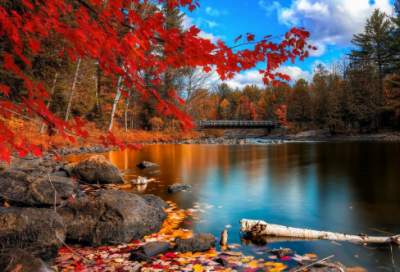 ​抖音发布说说经典语录