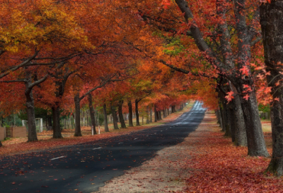​给对人生选择感到迷茫的年轻人的建议
