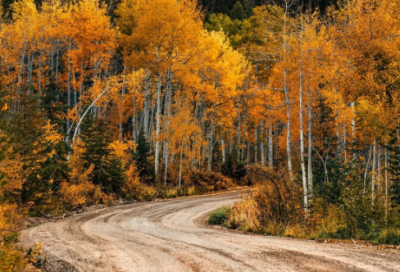 ​发朋友圈经典语录句子