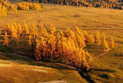 ​男人的心声经典语句