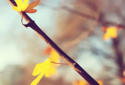 ​适合发朋友圈的经典语录句子