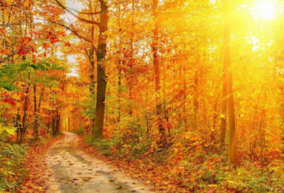 ​2015年最新个性说说大全