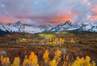 ​宫经典台词_经典台词