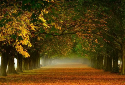 ​带不xx的网名