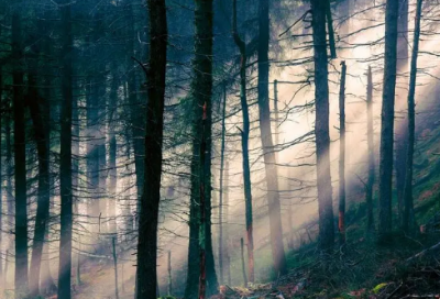 ​带从新开始的网名女生