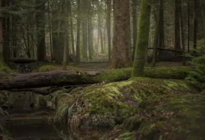 ​带样字寓意好的网名
