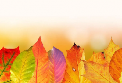 ​2019带欢的网名