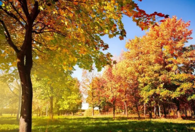 ​带以字的网名昵称大全