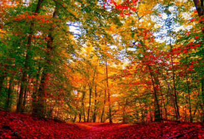 ​顾带我两字的网名