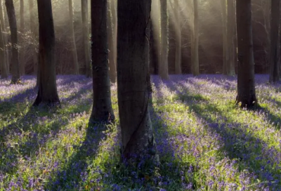 ​好听四字网名带为字的网名