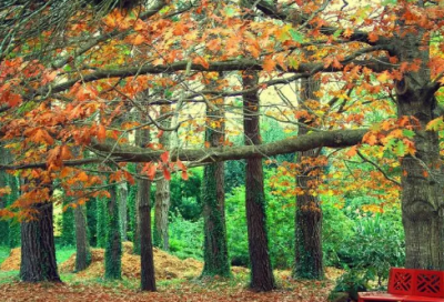 ​带不字的伤感网名