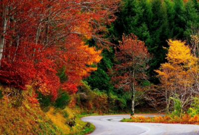 ​带才字旁的网名男生