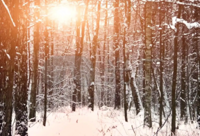 ​带催把的网名昵称