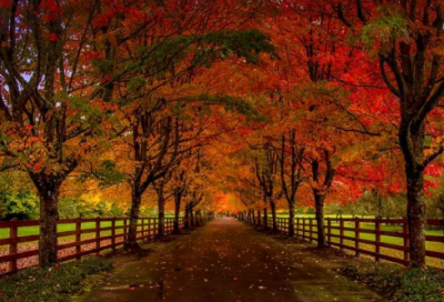 ​带外这个字的网名