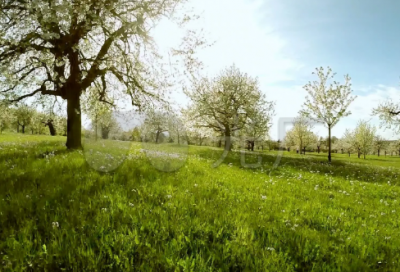 ​带以字的多字网名女孩