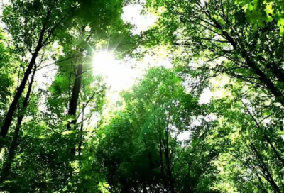 ​网名带不字的女生头像