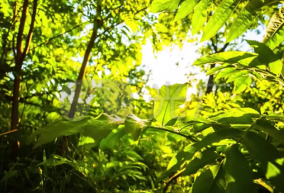 ​带不配被爱的网名男的