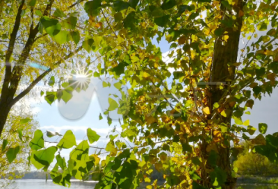 ​带里字的文艺网名男