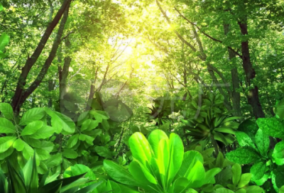 ​带网名上的标志符号