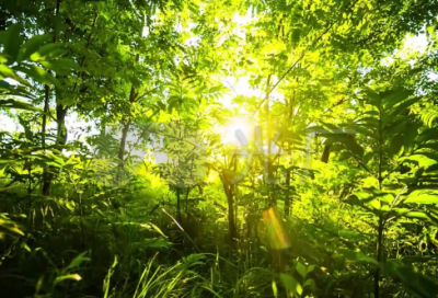 ​取带知己的红娘网名